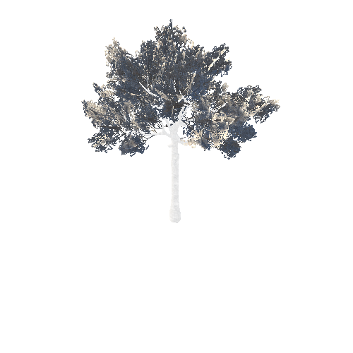 BeecthTree02WinterC_afsTREE_xmvcb _xlod02_xlp